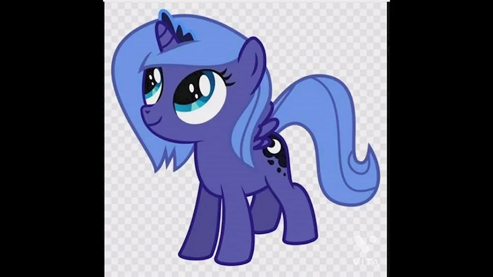 Malital Pony