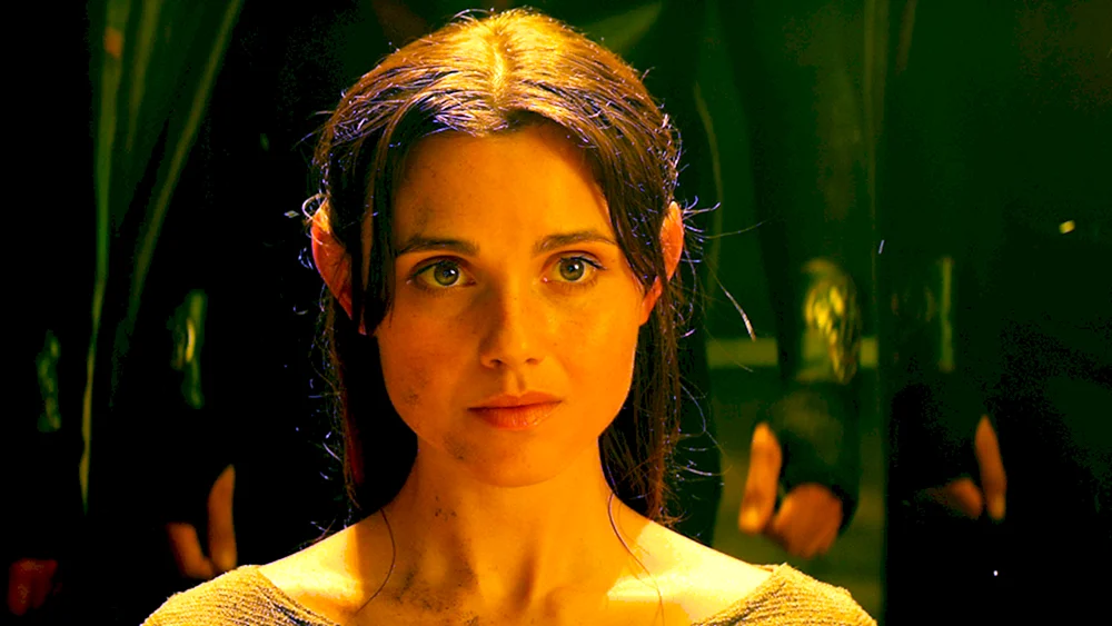 Die Shannara Emberley Chroniken