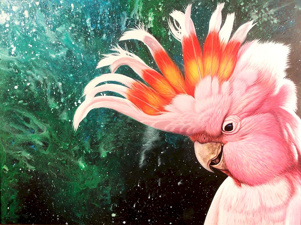 Kakadupapagei rosa