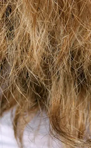 Poröses Haar