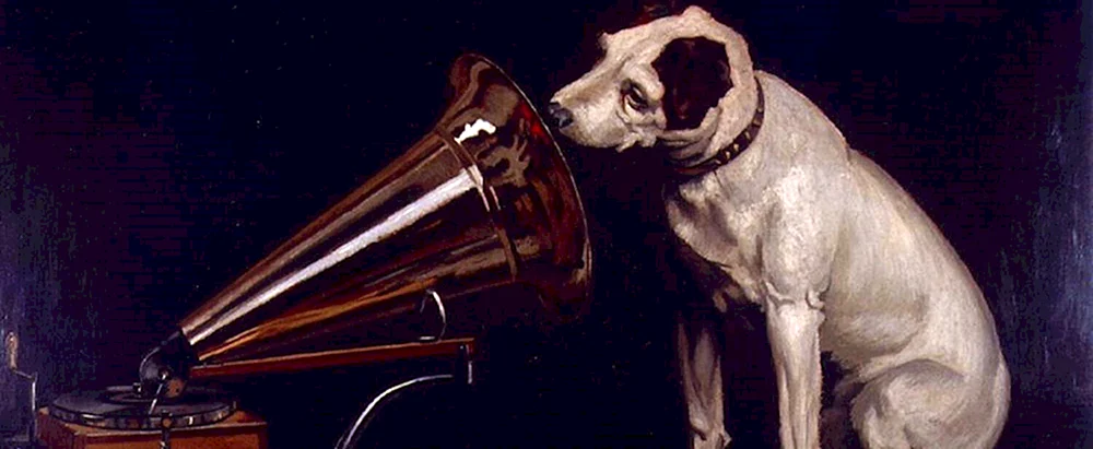 Marty der Edisonhund