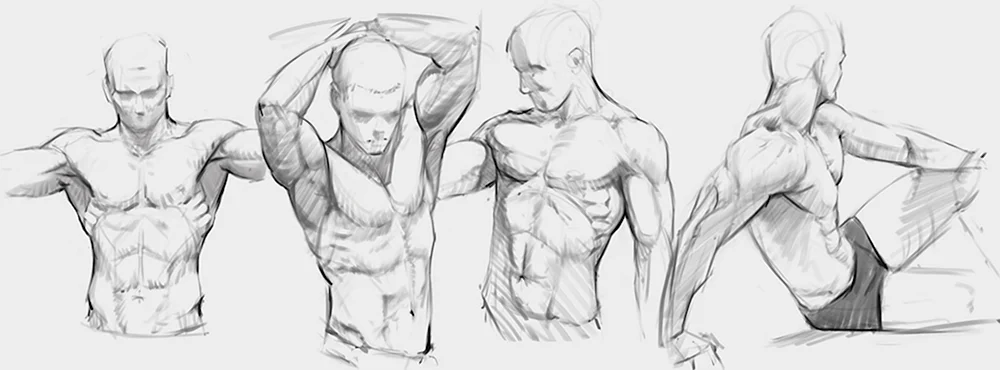 Männlicher Torso 3d