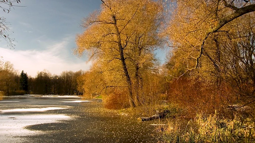 Spätherbst