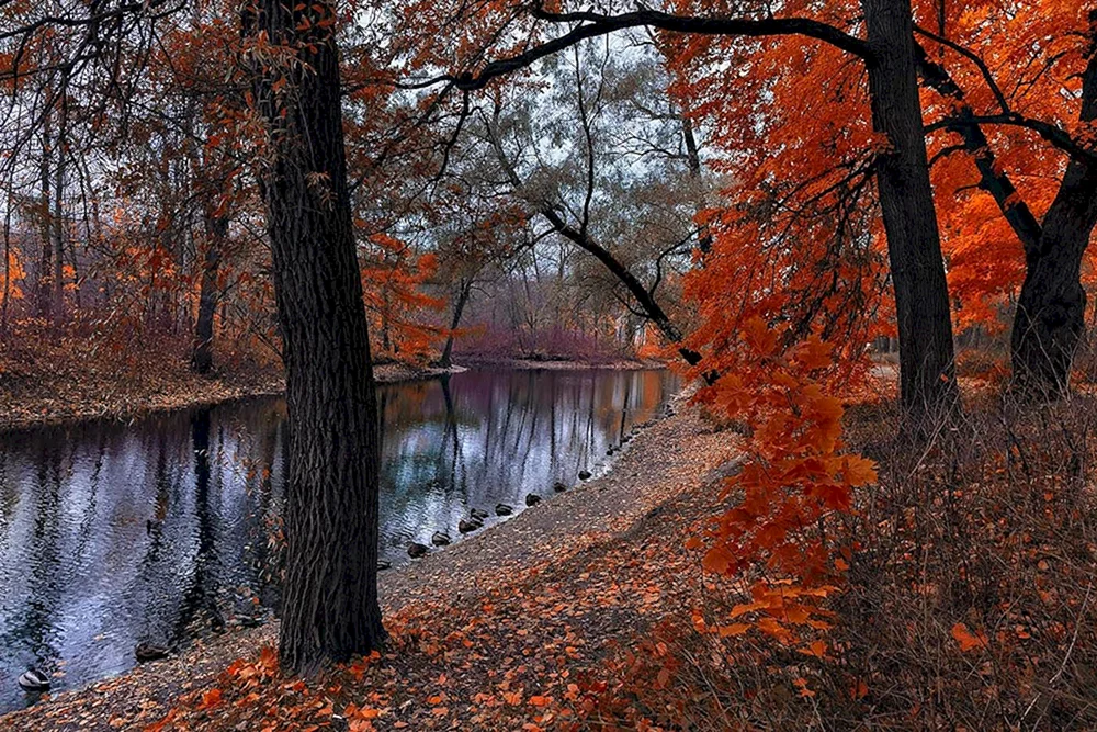 Spätherbst Herbst
