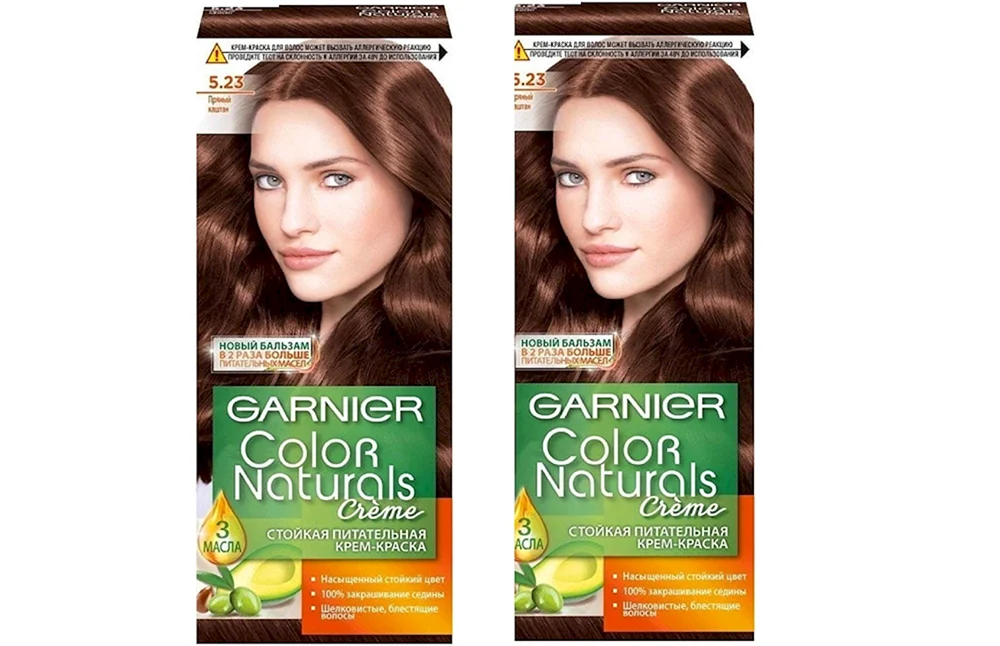 Garnier Spicy Espresso