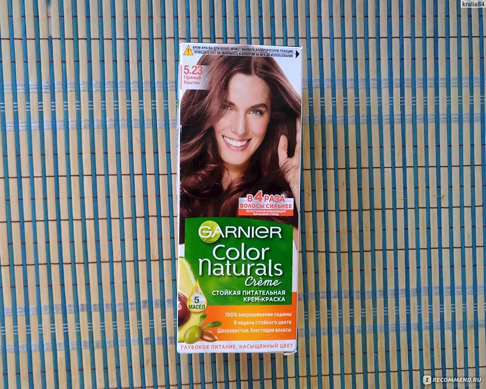 Garnier Spicy Chestnut