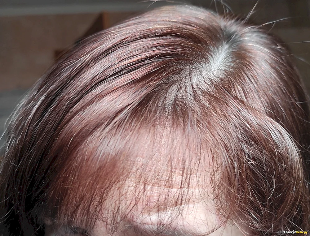 Garnier Color naturals 4. 12