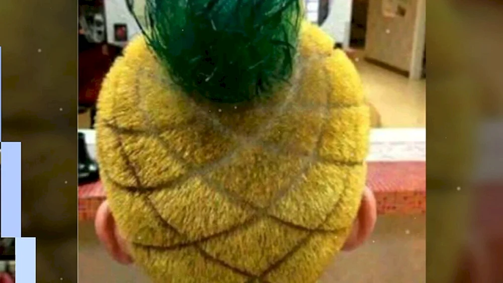 Jarakhov Haarschnitt. Ananas