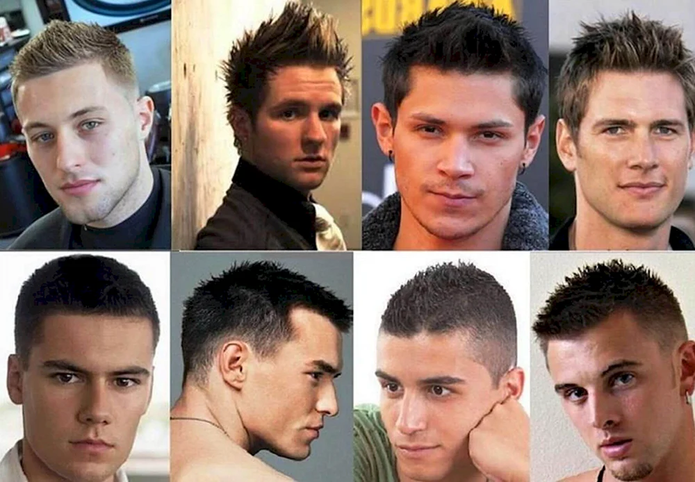 Hedgehog haircut for men