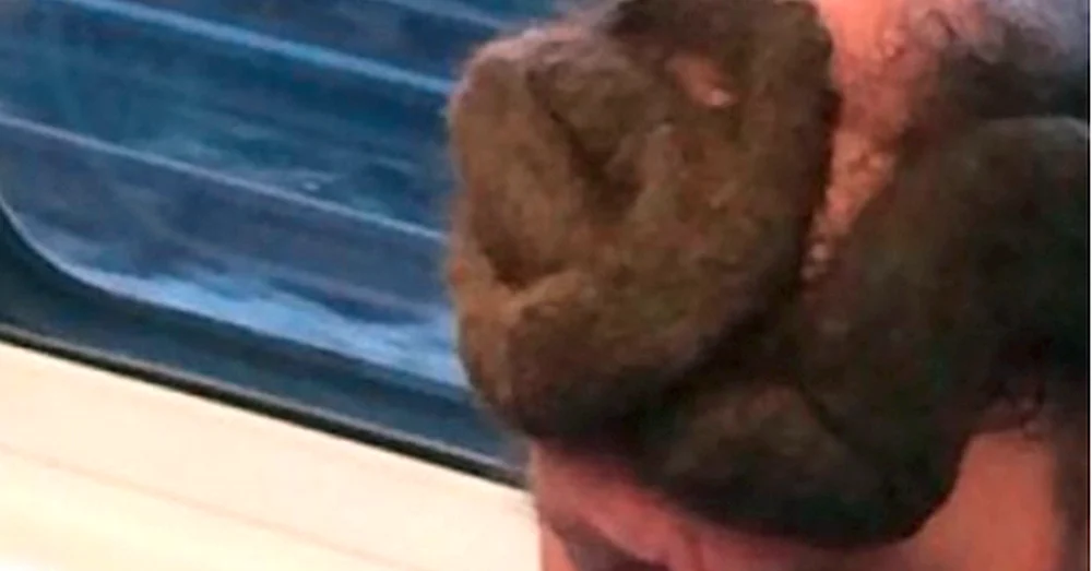 Scheißfrisuren auf dem Kopf