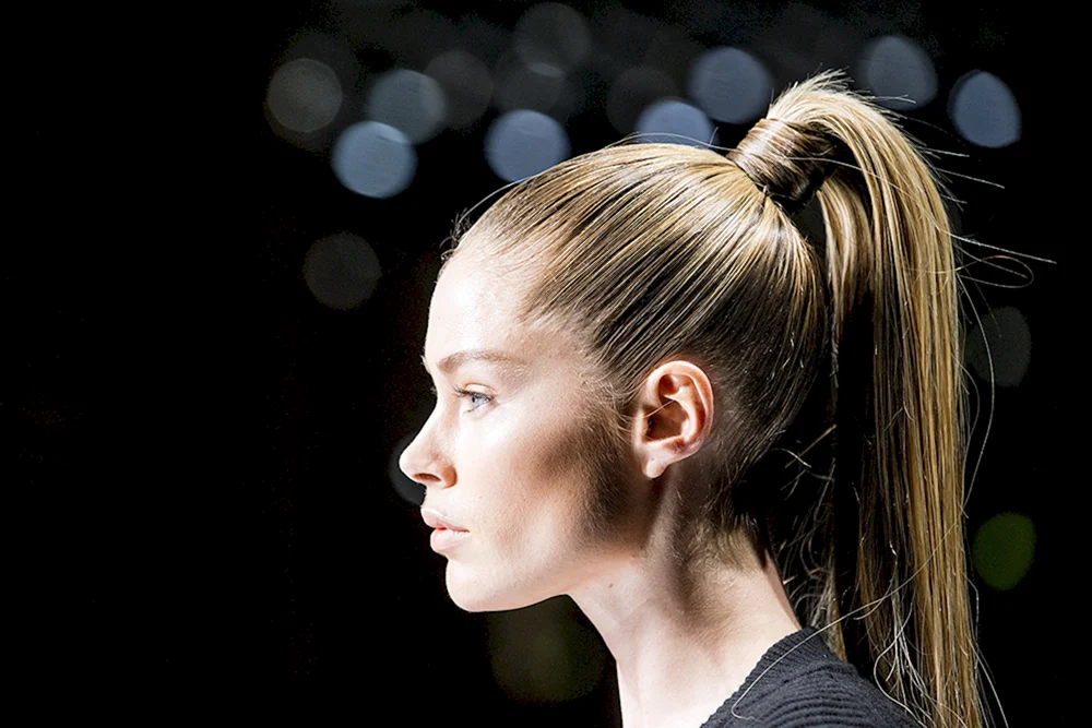 Schönheit Pferdeschwanz für lange Haare