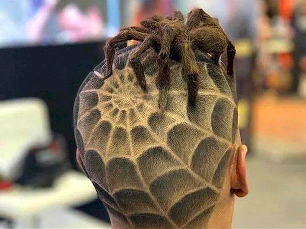 Spinnenfrisuren auf dem Kopf