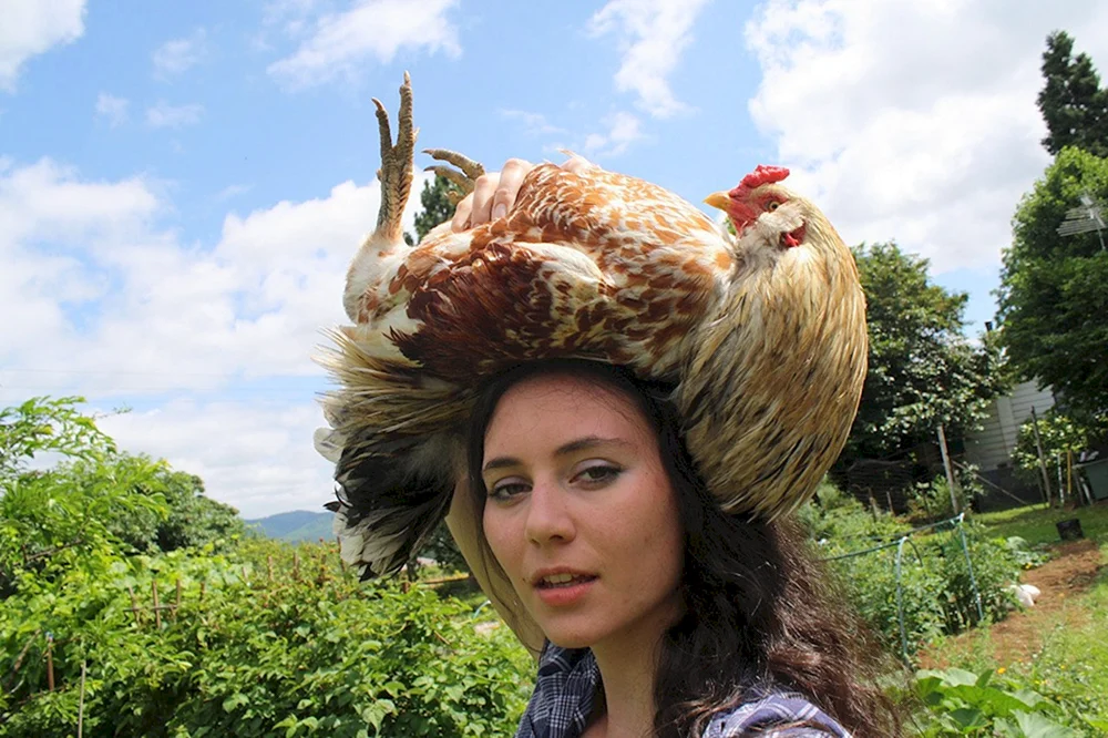 Haer hairstyle by Pankow