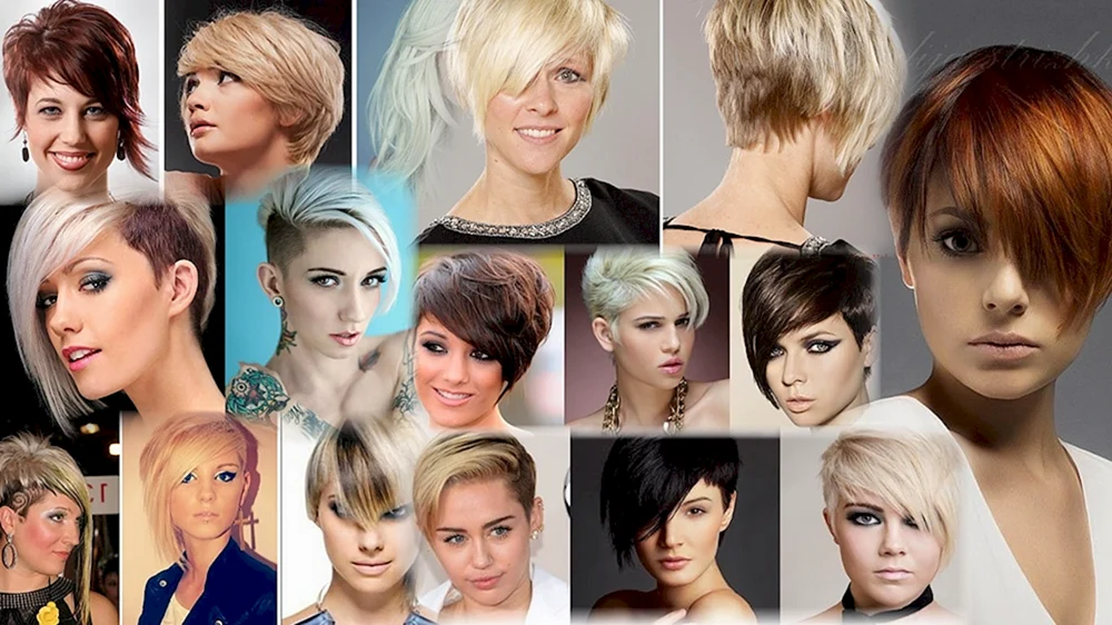 Ein asymmetrischer Bob Bob asymmetrisch