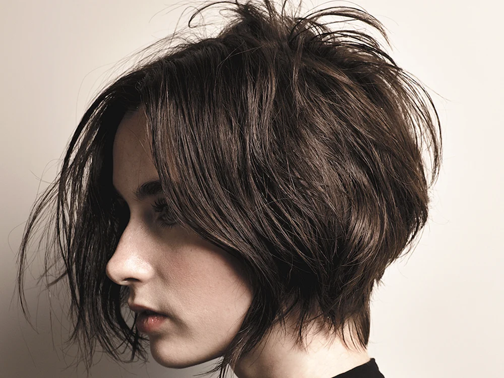Tomboy Bob