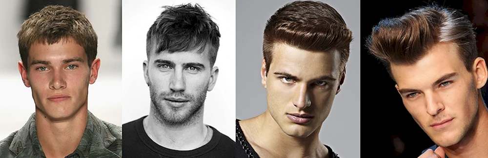 Princeton Haarschnitt