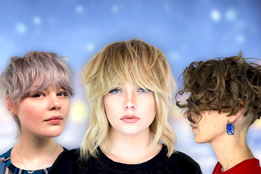Pixie Bob mit Asymmetrie