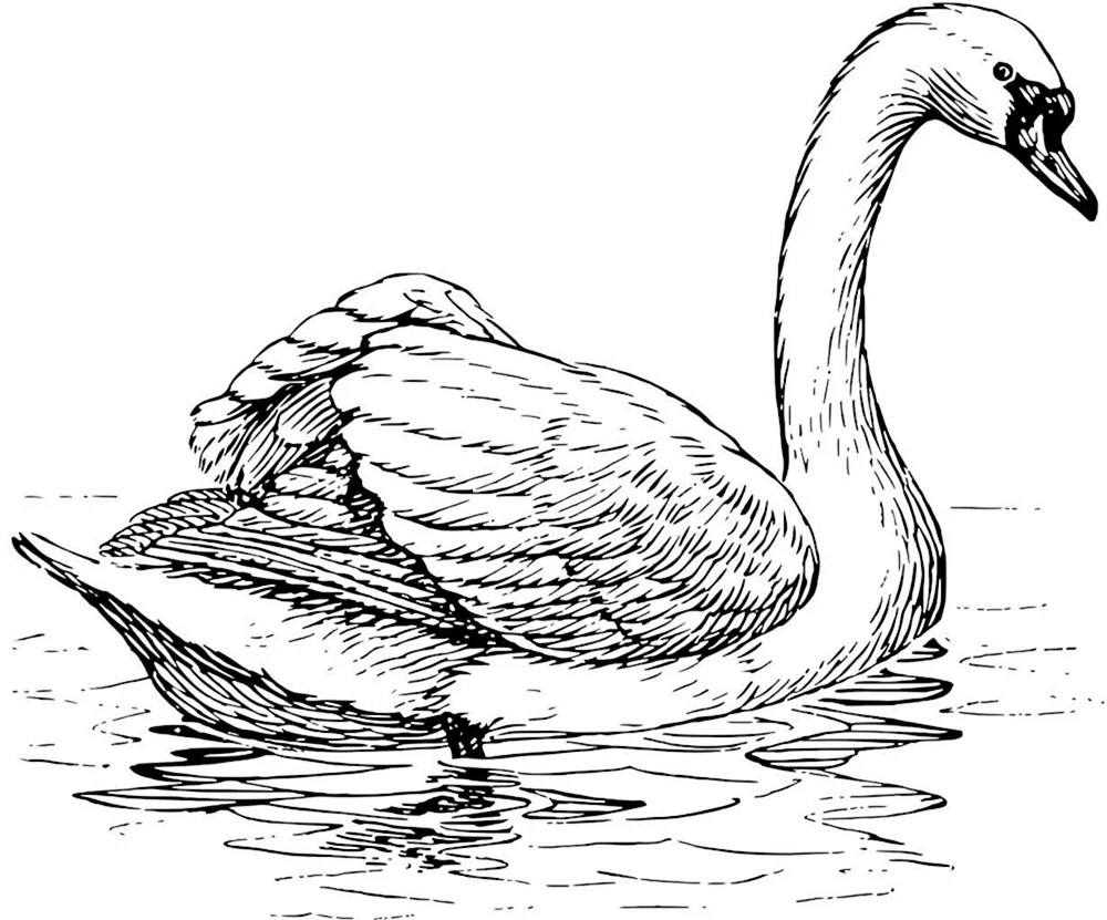 Mutter Siberiak ausmalen