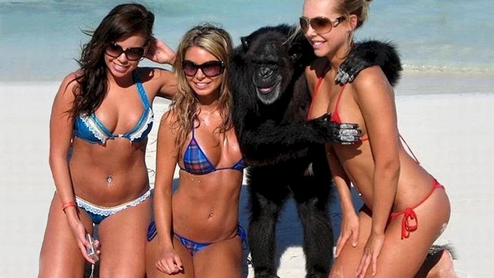 Cool girls