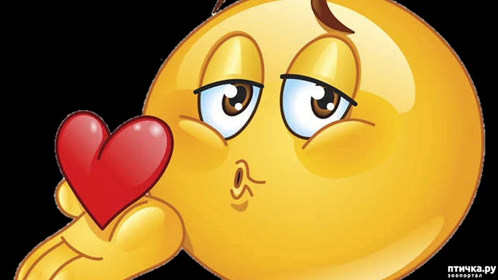Smiley Emoticon