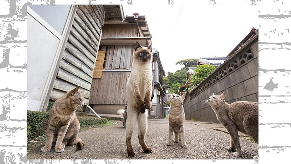 Komische Tiere