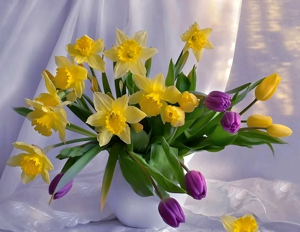 Narzissen Blumenstrauß Blumen