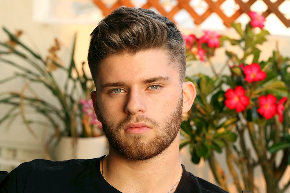 Princeton Haarschnitt