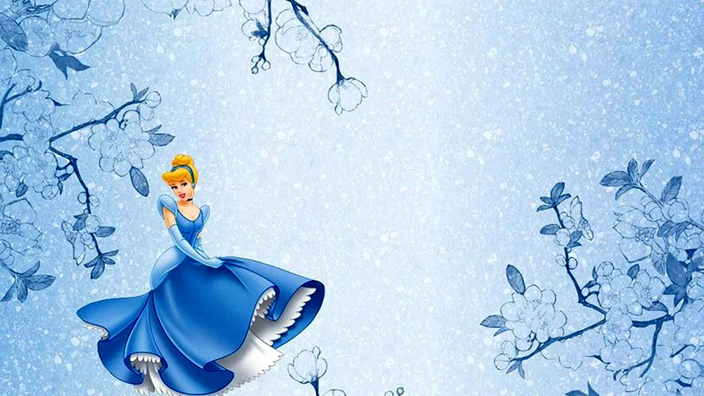 Disney Prinzessinnen Aschenputtel