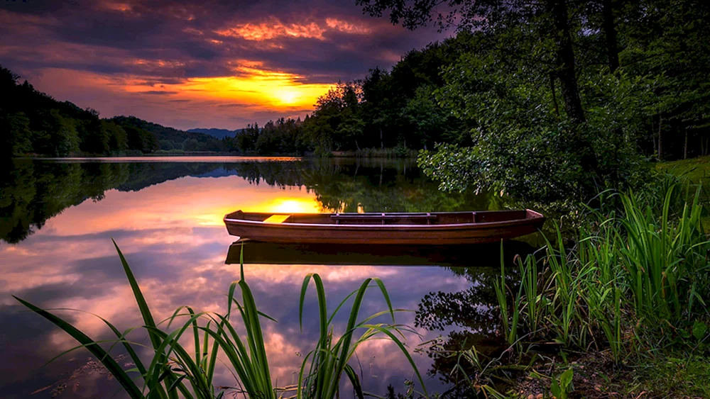 Natur