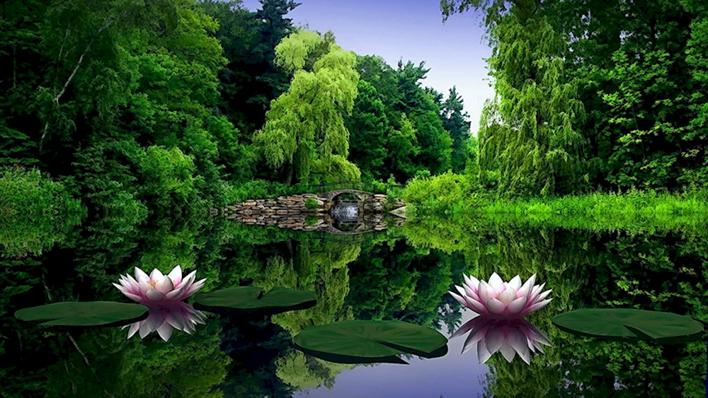 Natur