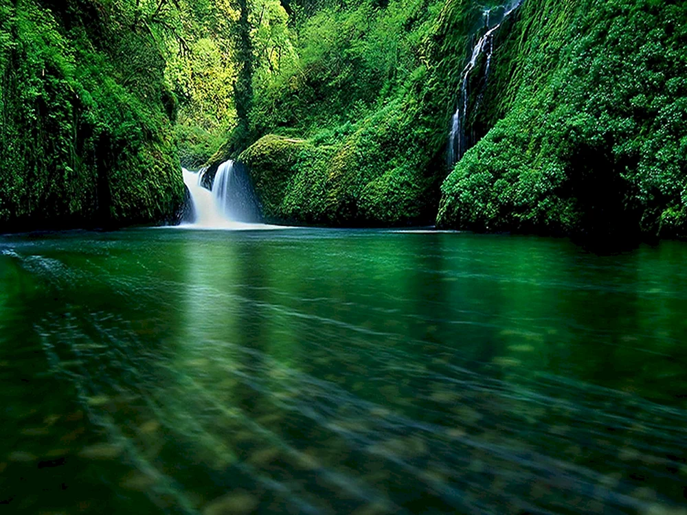 Natur