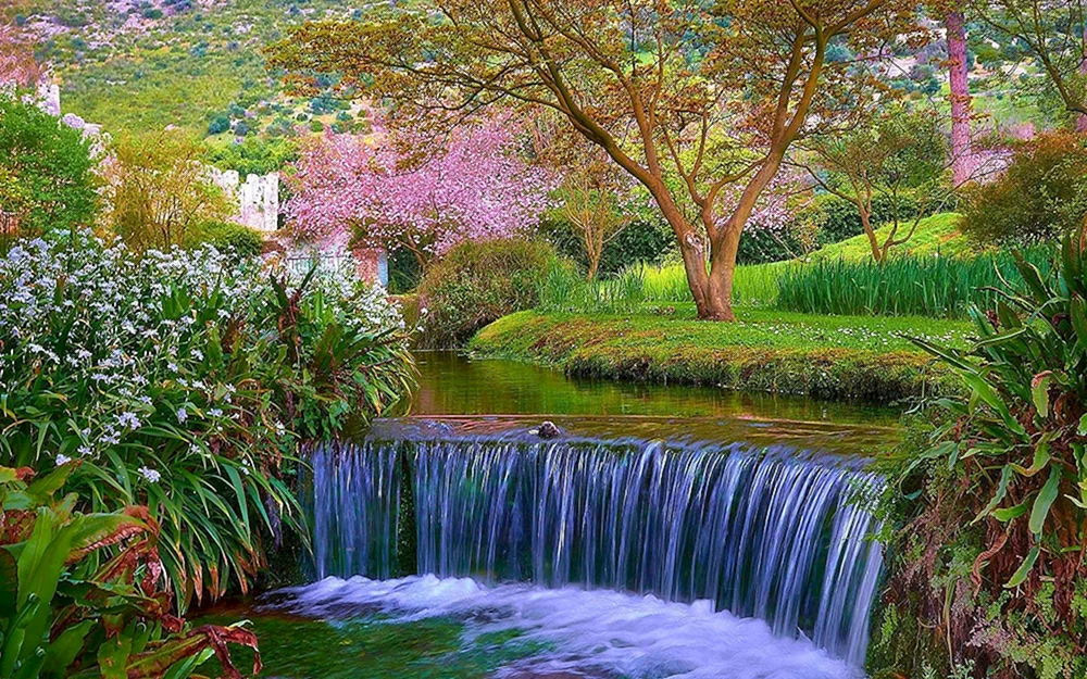 Natur