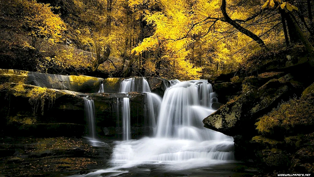 Natur