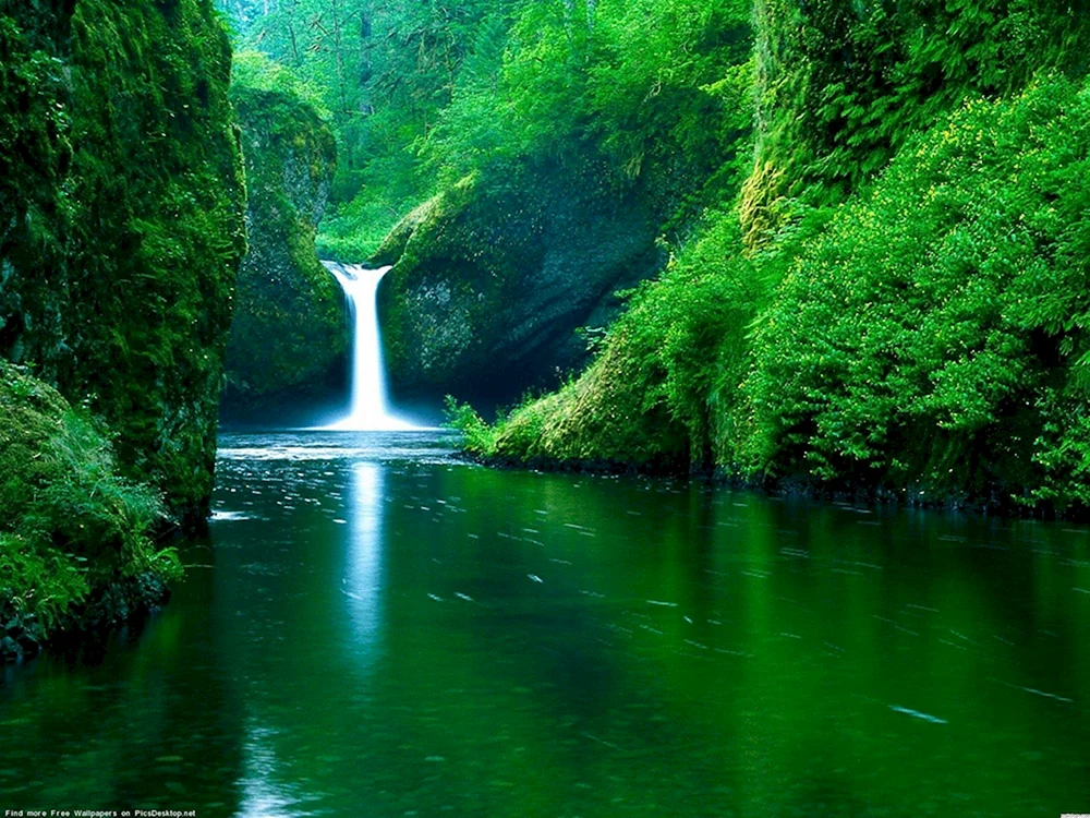 Natur