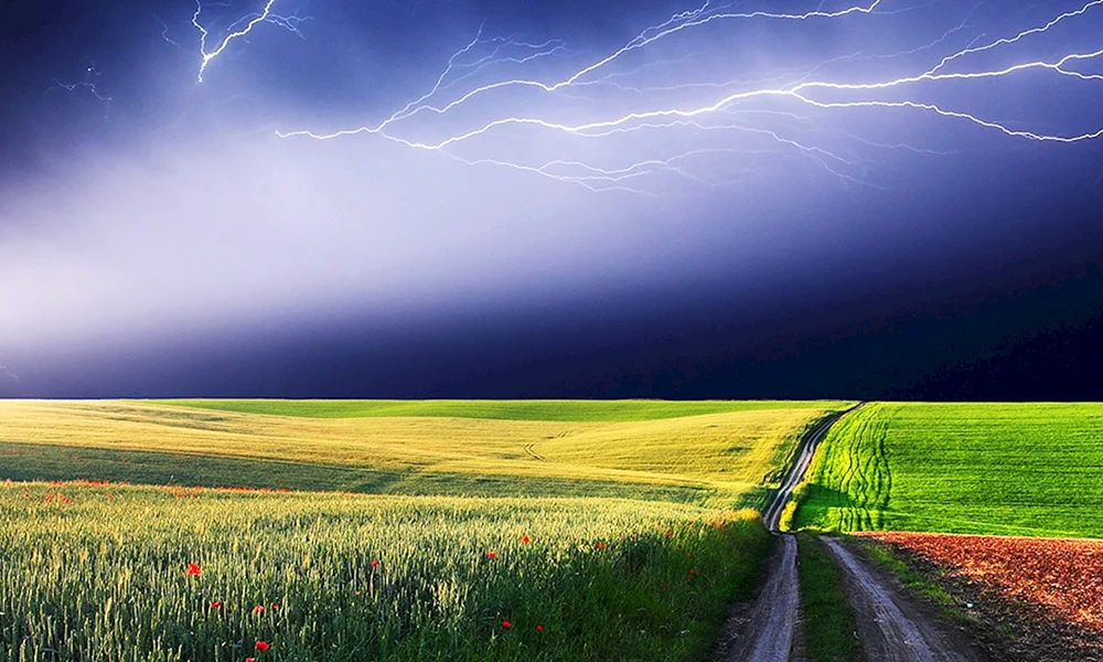 Natur