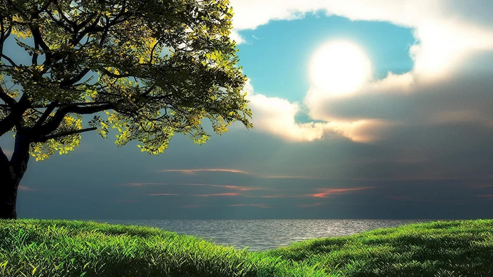 Natur