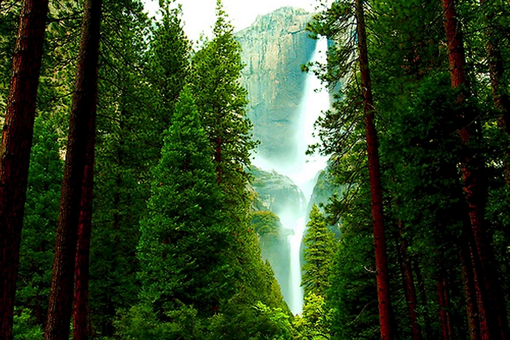 Natur