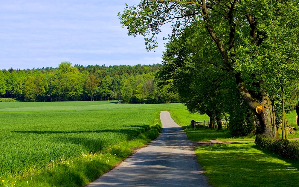 Schöne Natur