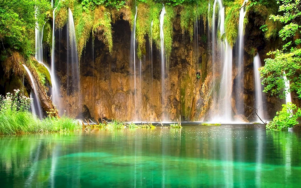 Natur