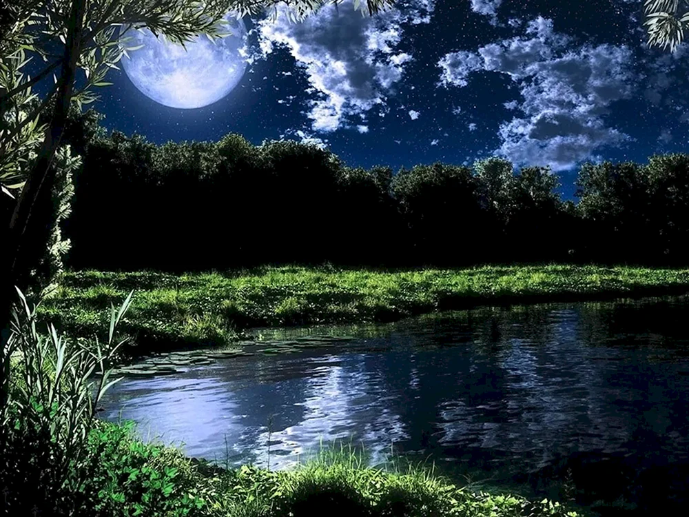 Natur bei Nacht