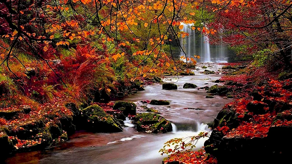 Herbst
