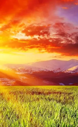 Natur Sonne