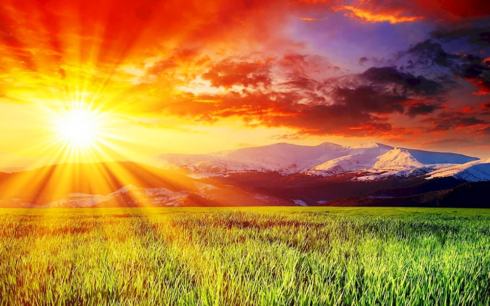 Natur Sonne