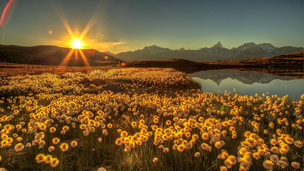Natur Sonne