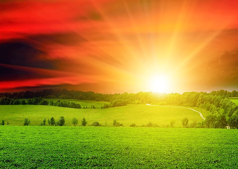 Natur Sonne