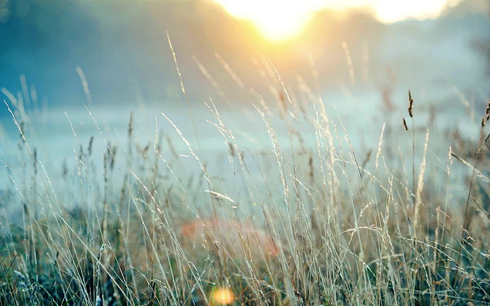 Unscharfer Hintergrund