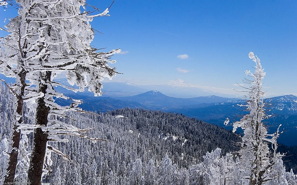 Winter natur