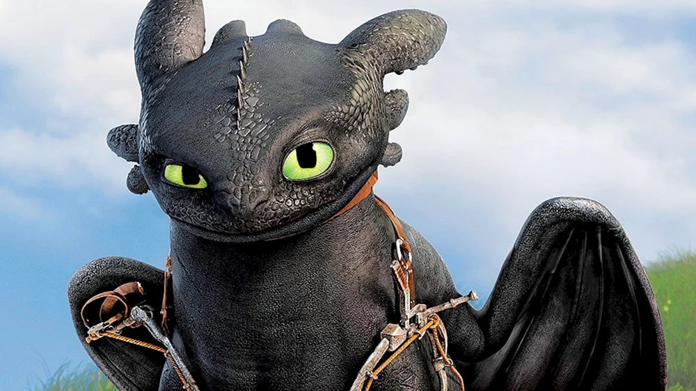 Drachen zähmen Zahnlos