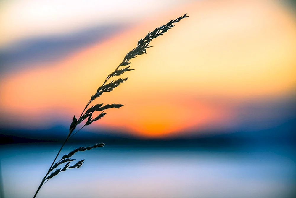 Hintergrundbilder