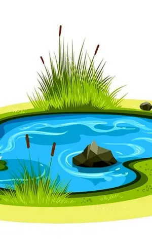 Teich für Kinder